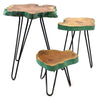 Set of three gamal wood plant stands with greenwash edges and black hairpin legs in a rustic style
