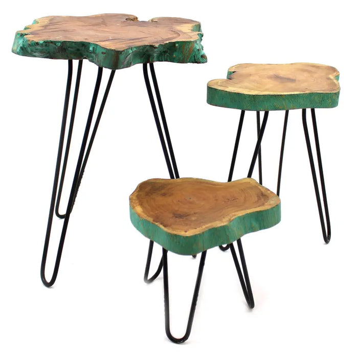 Set of three gamal wood plant stands with greenwash edges and black hairpin legs in a rustic style