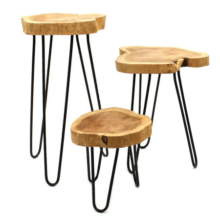 Set of three rustic gamal wood plant stands with natural tree slice tops and black hairpin legs