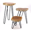 Set of three gamal wood plant stands with whitewash rustic tops and black hairpin legs