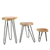 Set of three gamal wood plant stands with whitewash tree-ring tops and black hairpin legs
