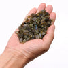 A hand holds rough faceted labradorite gemstone chips showing blue and green flashes on gray to olive bases