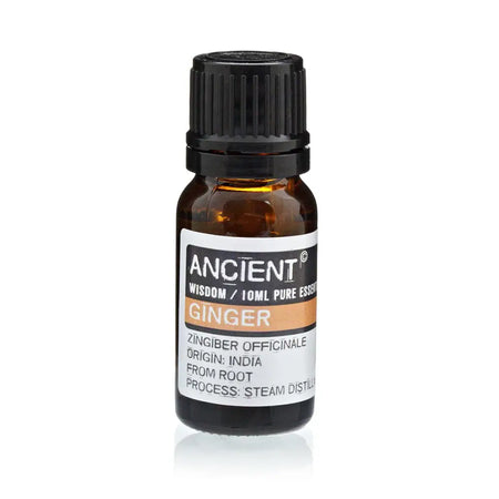 A small amber glass bottle of ancient wisdom ginger essential oil with a black cap for steam distillation use