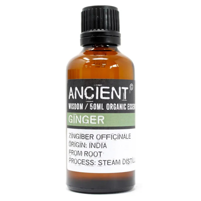 A 50ml amber glass bottle of ancient wisdom ginger organic essential oil with black cap used for motion sickness by steam distillation