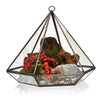 Clear glass large diamond terrarium with black brass frame and hanging loop for plants or decor display