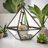 Glass and brass small diamond terrarium with dark metal frame holding miniature succulents stones and driftwood inside