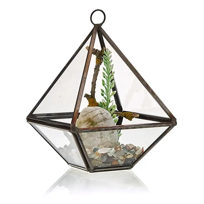 Small diamond glass and brass terrarium with dark metal frame, hanging loop, green plant, seashell, and pebbles inside