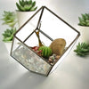 Glass and brass tilted cube terrarium with dark metal frame housing succulents cactus and pebbles 5cm size