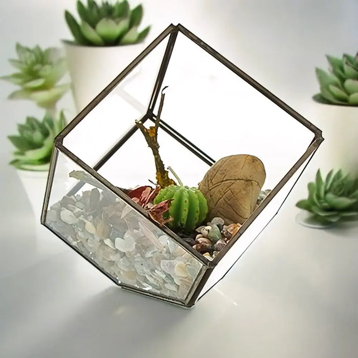 Glass and brass tilted cube terrarium with dark metal frame housing succulents cactus and pebbles 5cm size