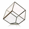 Glass and brass geometric terrarium with dark metal frame in a tilted cube design, 5cm glass panels visible