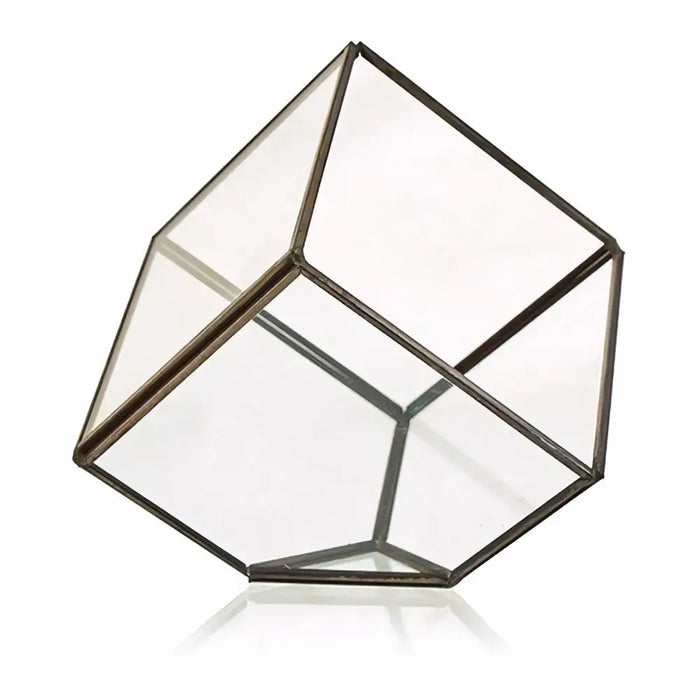 Glass and brass geometric terrarium with dark metal frame in a tilted cube design, 5cm glass panels visible