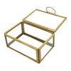 A small glass jewellery box with a gold-toned metal frame and handle for storing shoeless joe precious pieces