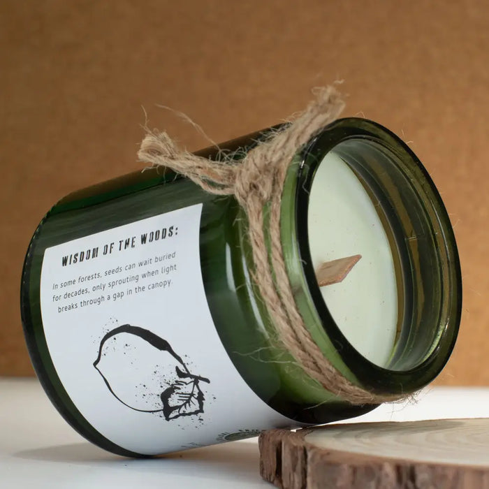 A dark green glass jar woodwick soy candle with a white label and twine featuring a tree sapling illustration cedar citrus
