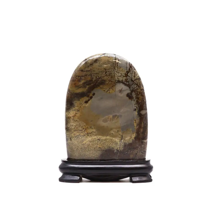 A guohua picture stone with manganese dendrites showing an earthy landscape rests on a black wooden stand