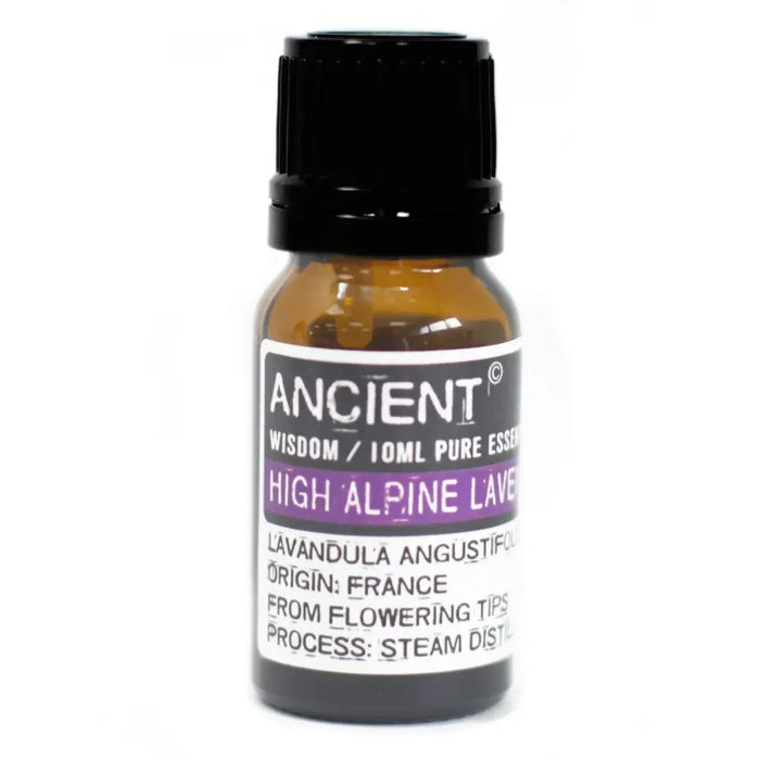 A small amber glass bottle with black cap labeled high alpine lavender essential oil 10ml for natural aromatherapy