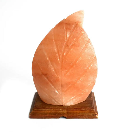A peach-colored himalayan salt lamp in a fern leaf shape with carved veins on a dark wooden base showing hygroscopic properties