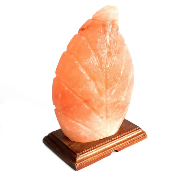 A peach-colored himalayan salt lamp fern leaf with carved veins on a dark wooden base showing hygroscopic properties
