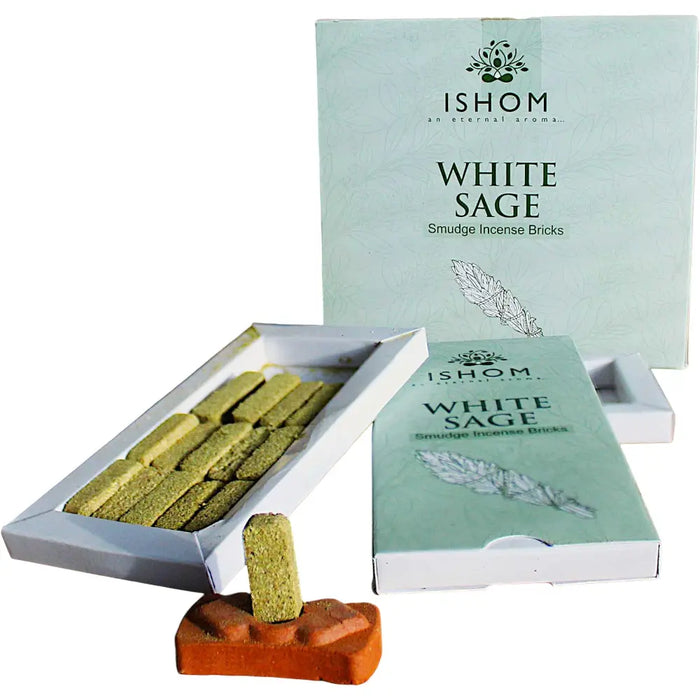 White sage incense smudge bricks in a light green ishom box with one brick on an orange clay holder