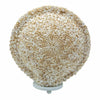 Large boho cut art shell lamp in cream with small spiral seashells arranged round 30cm decorative sculpture