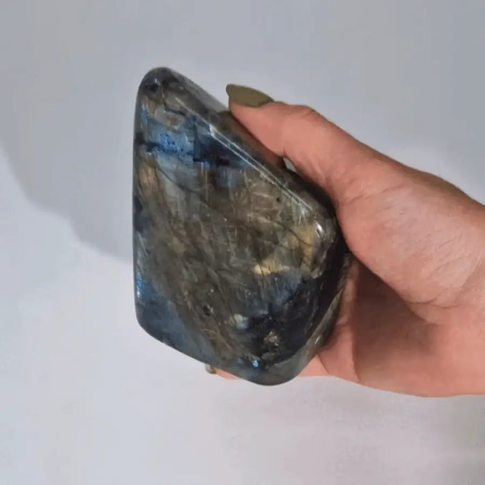 A hand holds a large madagascar labradorite stone with blue and gold flashes on a dark gray surface