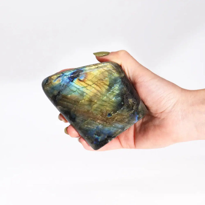 A hand holds a large madagascar labradorite stone 11-14cm with blue green and gold iridescent patterns