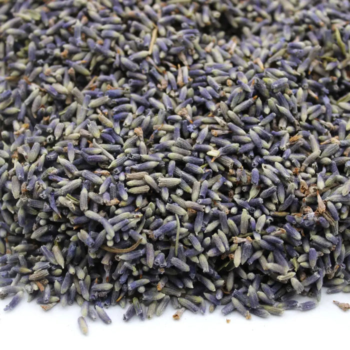 A pile of dried lavender flowers with soft purple and muted green hues showing slender elongated buds