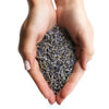 A cupped pair of hands holds 1kg of dried lavender flowers with soft purple buds and muted green stems