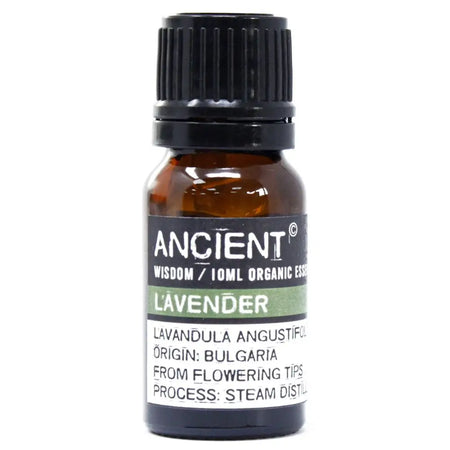A small amber glass bottle with black cap labeled ancient wisdom 10ml lavender organic essential oil