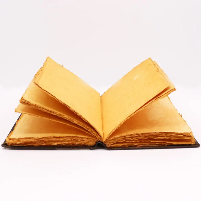 An open leather notebook rose with dark brown binding and aged golden yellow pages measuring 10 by 7 inches