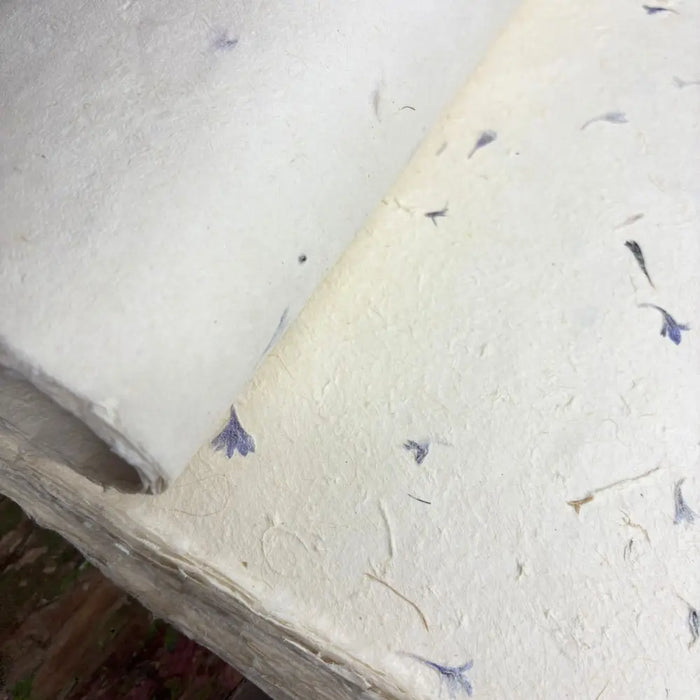 A roll of off-white lokta craft paper with textured surface and purple cornflower petals for gift wrapping use