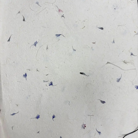 White lokta craft paper with delicate blue and pink cornflower petals embedded for gift wrapping and lokta paper projects