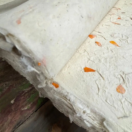 A roll of off-white lokta paper with embedded orange marigold petals for gift wrapping use