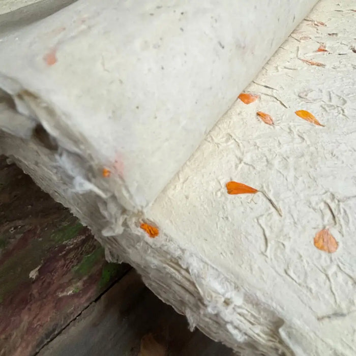A roll of off-white lokta paper with embedded orange marigold petals for gift wrapping use