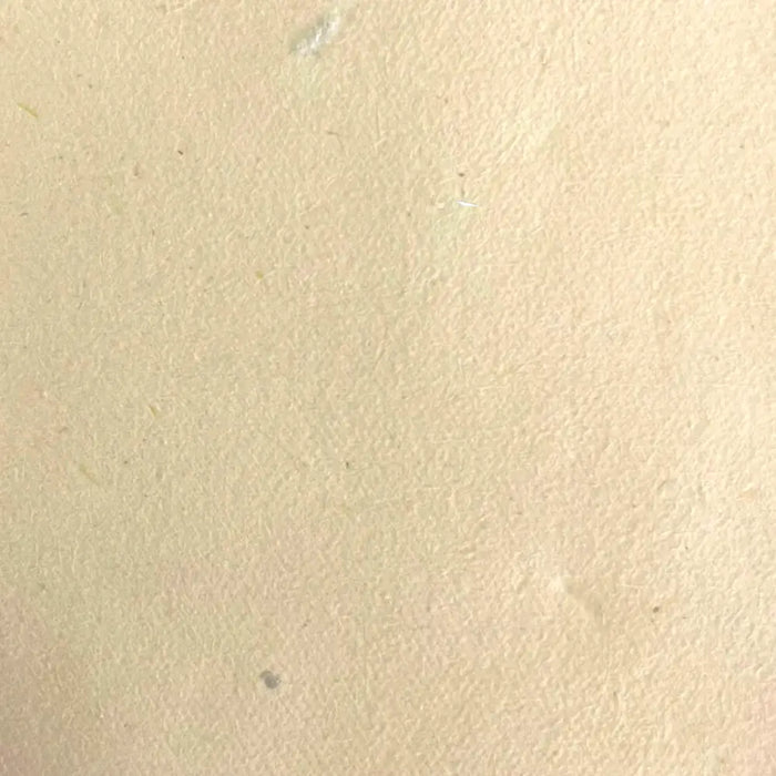 Beige textured lokta craft paper sheet showing natural fibers used for gift wrapping and lokta paper crafts