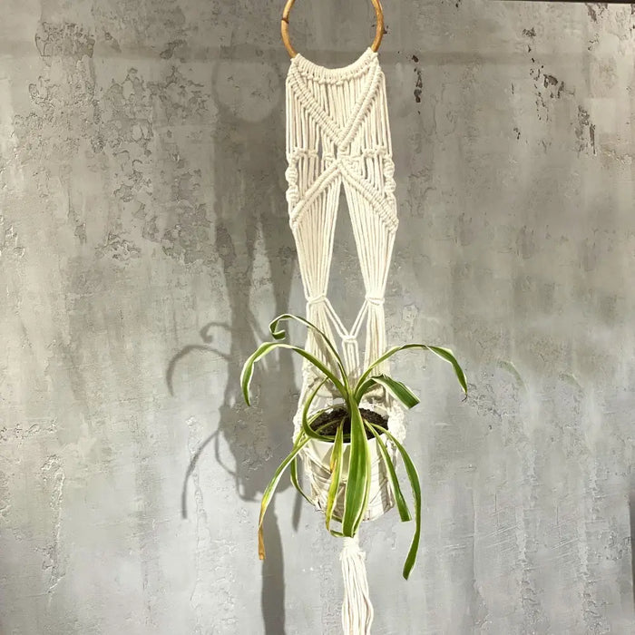 Long macrame pot holder with white cotton macrame, rattan hoop, tassels, holding a green spider plant
