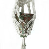 Long macrame pot holder with white cotton hanger and rattan hoop holding a rustic terracotta pot with trailing leaves