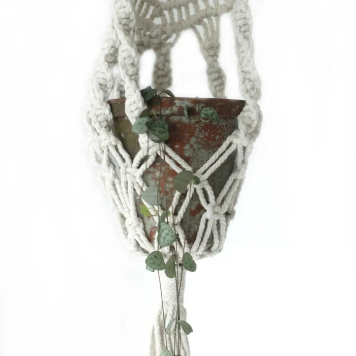 Long macrame pot holder with white cotton hanger and rattan hoop holding a rustic terracotta pot with trailing leaves