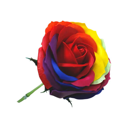 Luxury single soap flower shaped like a rose with rainbow-colored petals in red, orange, yellow, green, blue, and purple hues