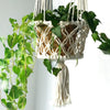 Cream-colored macrame pot holder with double hanging baskets, woven wicker interiors, and tassel details