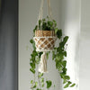 Cream-colored macrame pot holder with double holder design, woven wicker basket, and tassel hanging indoors