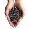 A cupped pair of hands holding dried purple and green mallow flowers whole weighing 0.5kg