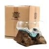 Clear glass open bowl with turquoise fused glass resting on dark brown gamal root driftwood base