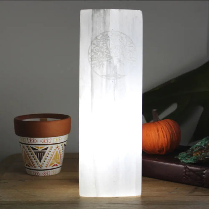Natural selenite block lamp with a translucent white pillar and subtle etched circular design