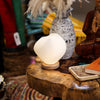 A soft white ribbed ceramic table lamp with a wooden base called new wave lamp shell twisted
