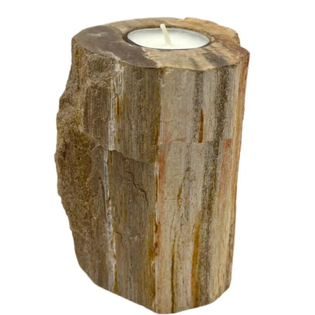 A tall rustic petrified wood tealight holder with natural textured surface in brown and beige tones