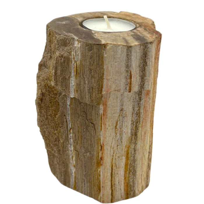 Porte-photophore en bois pétrifié - Simple, Haut