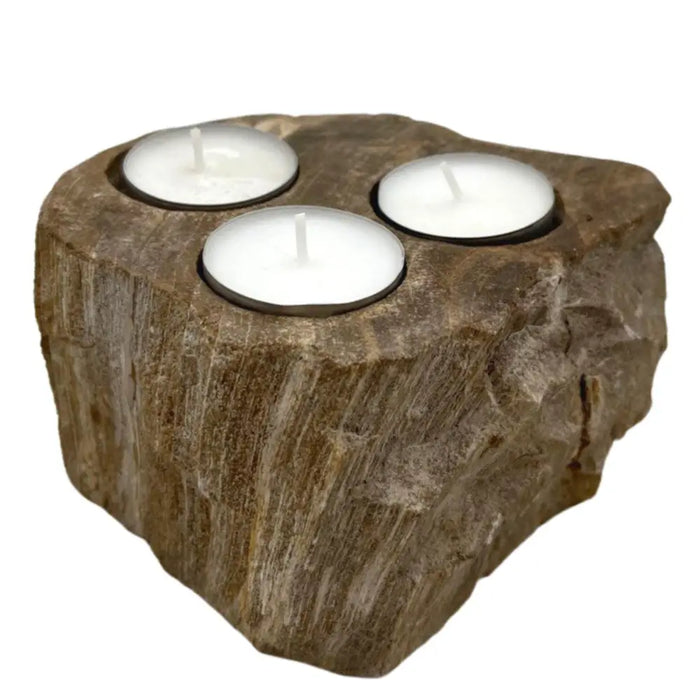 Natural stone petrified wood tealight holder with three circular indentations holding white tea light candles