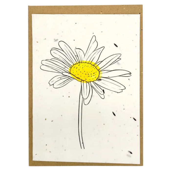 A delicate white daisy with a yellow center illustrated in black ink on textured off-white daisy seed paper card
