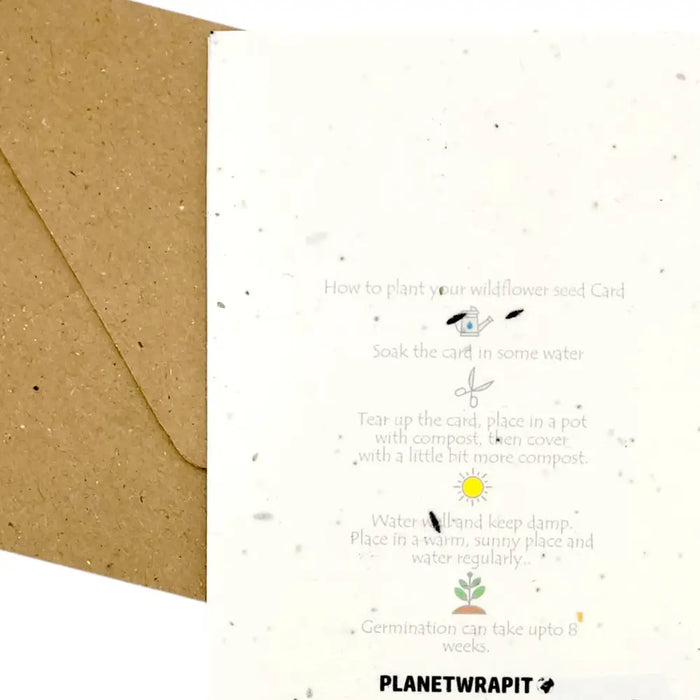 White sunflower seed paper card with black and green planting instructions beside a brown kraft paper envelope