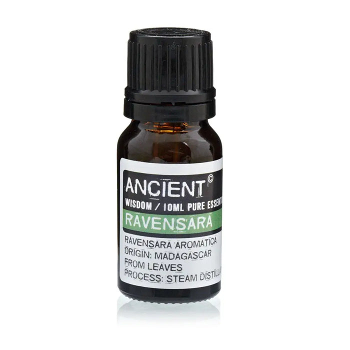A small amber glass bottle with a black cap labeled ancient wisdom ravensara 10ml pure essential oil